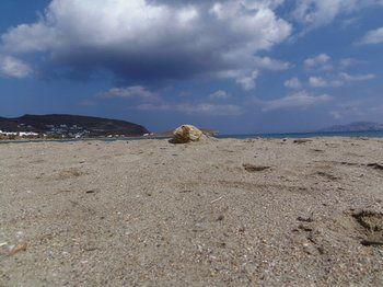 Summer Time - Tinos Apartahotel